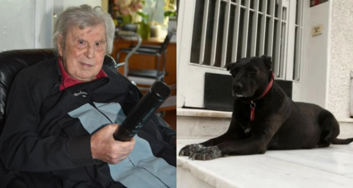 Συγκινεί ο σκύλος του Μίκη Θεοδωράκη που πενθεί για τον θάνατο του αφεντικό του έξω από το σπίτι του