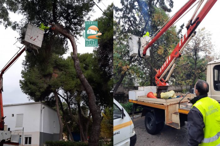 Συνεργείο του Δήμου καθαρίζει επικίνδυνα τμήματα από δένδρα στο Νοσοκομείο Αγία Βαρβάρα