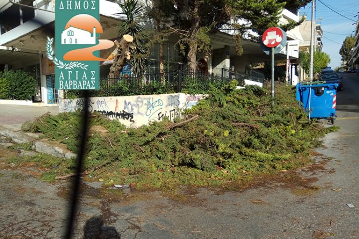 Φωτογραφήθηκε ο κ. Καπλάνης για τις ανάγκες της επικοινωνίας αλλά τα κλαδιά παραμένουν στο δρόμο επί τρεις μέρες