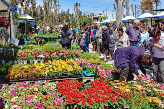Με μεγάλη επισκεψιμότητα, συνεχίζεται η έκθεση «Φυτά και Κήπος» στο ομορφότερο Άλσος της Αττικής