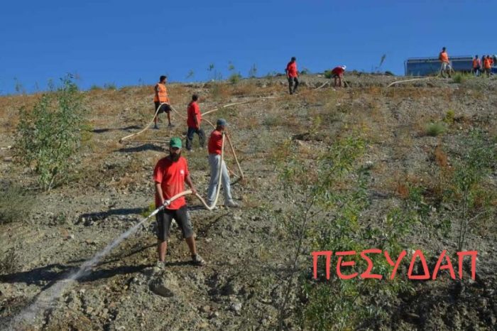 ΠΕΣΥΔΑΠ: Εθελοντική Δράση Φροντίδας Αναδασωτέας Έκτασης