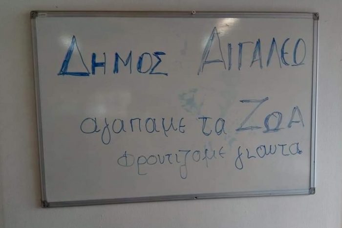 Πρωτοβουλίες για τα αδέσποτα ζώα στο Αιγάλεω