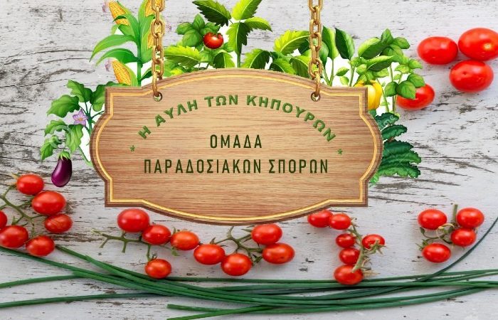 Ανακοίνωση της ομάδας Διατήρησης παραδοσιακών σπόρων «Η Αυλή των κηπουρών»
