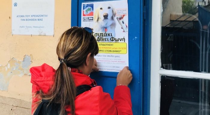 Η Αίγινα φιλοδοξεί να γίνει η πρώτη πόλη χωρίς αδέσποτους σκύλους -Το πρόγραμμά της