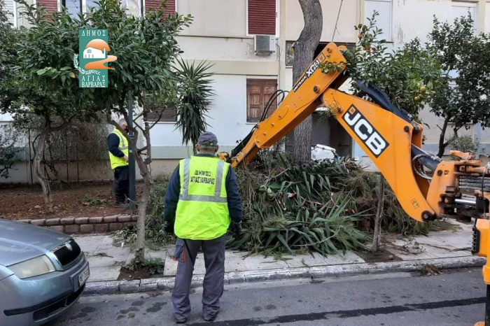 «ΕΠΙΔΡΟΜΗ ΦΡΟΝΤΙΔΑΣ» από συνεργεία της Υπηρεσίας Πρασίνου