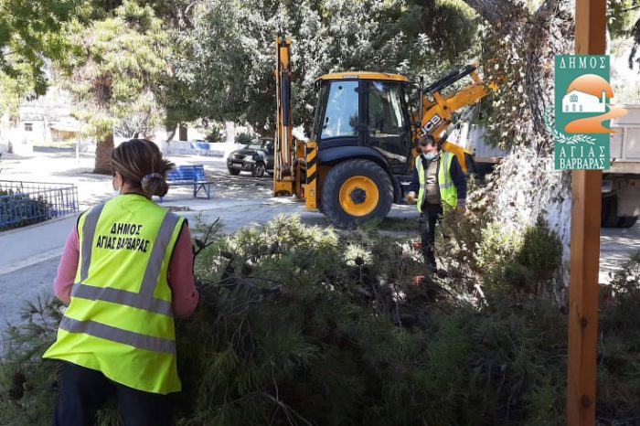 Κλάδεμα και καθαρισμός στον περιβάλλοντα χώρο των Αγίων Αναργύρων, από την Υπηρεσία Πρασίνου & Περιβάλλοντος