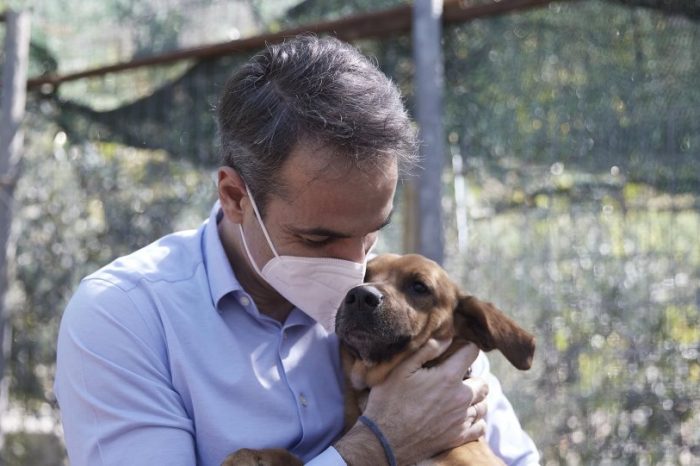 Κυριάκος Μητσοτάκης: Υιοθέτησε σκυλάκι από καταφύγιο που επισκέφθηκε - Δείτε τον υπέροχο «Πίνατ»