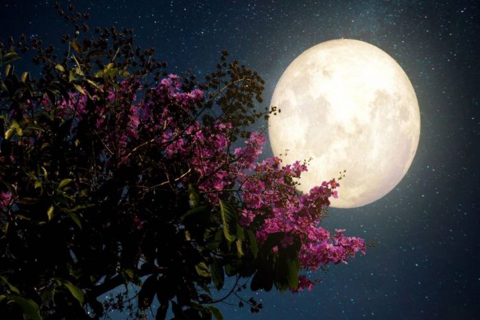 Πλησιάζει το «Φεγγάρι των Λουλουδιών» το βράδυ της Τρίτης