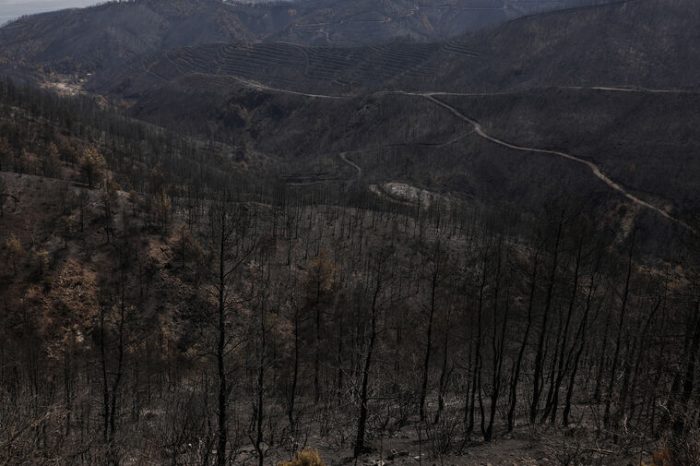Meteo: Κάηκε το 1/3 των δασών της Εύβοιας στις πρόσφατες πυρκαγιές
