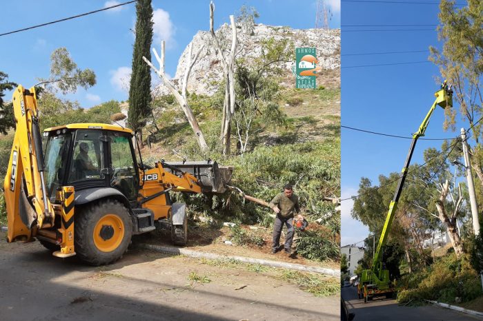 Συνεχίζεται η φροντίδα των ψηλών δέντρων από την υπηρεσία Πρασίνου του Δήμου