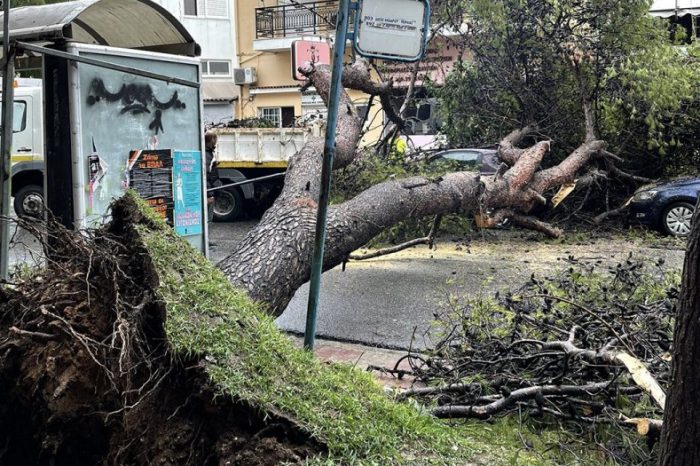 Κακοκαιρία «Μπάλλος»: Πτώση δέντρου στο Χαϊδάρι – Διακόπηκε η κυκλοφορία
