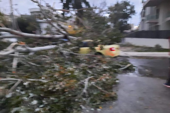 Δένδρο καταπλακώνει ταξί στο Χαϊδάρι