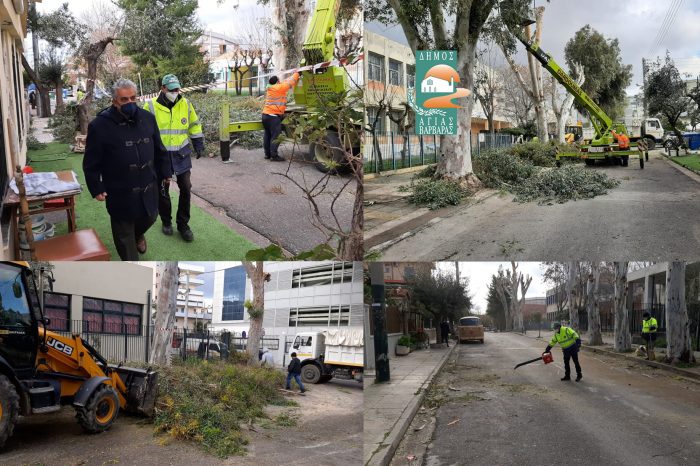 Κλαδεύτηκαν τα επικίνδυνα δέντρα στην οδό Ραιδεστού και γύρω από το Νοσοκομείο Αγία Βαρβάρα