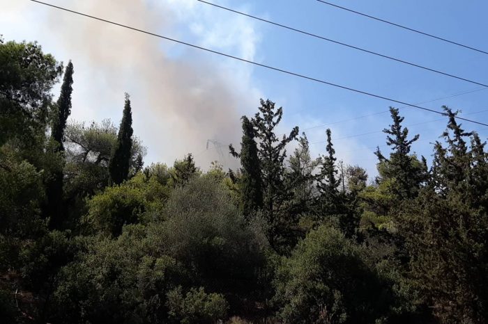 Φωτιά τώρα πάνω από τον Βοτανικό κήπο