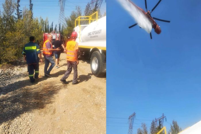 Ν. Χουρσαλάς: Ο Δήμος Κορυδαλλού στην φωτιά στον Βοτανικό Κήπο