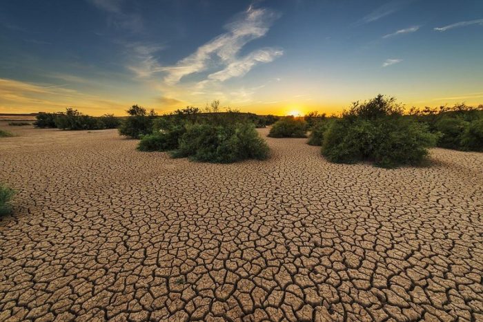 Αντιμέτωπη με τη χειρότερη ξηρασία της τελευταίας χιλιετίας η κεντρική Ευρώπη