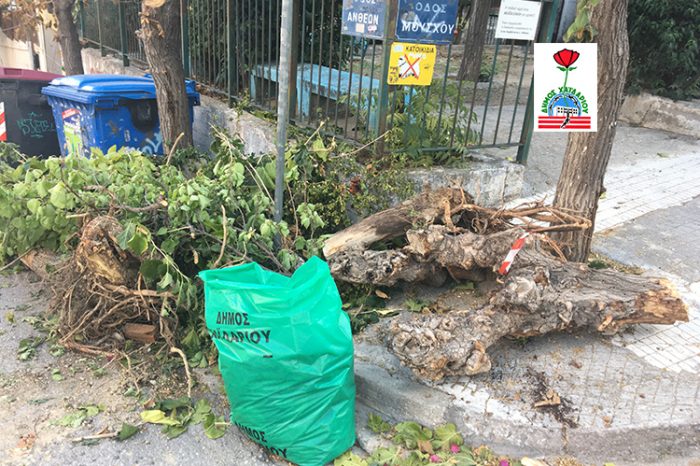 Ήρθαν, έκοψαν και απήλθαν