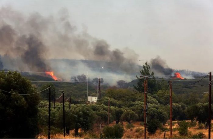 «Θα σε στείλω στον Έβρο»: Αδιαφορία, Εισβολή και Εισαγόμενοι Εμπρησμοί συνθέτουν το σκηνικό στη Θράκη, που εκμεταλλεύεται ασύστολα η ισλαμική Τουρκία