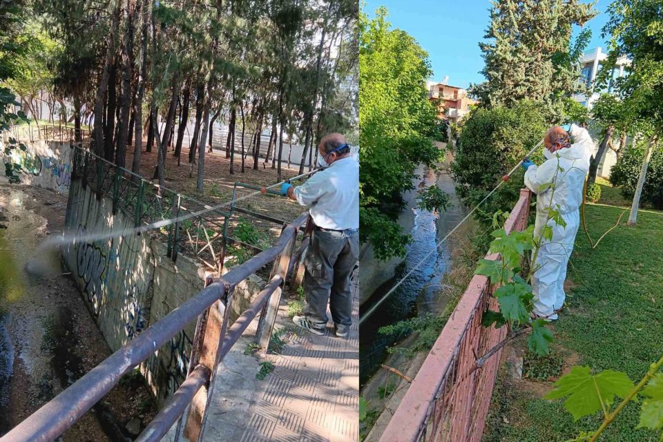 Συνεχίζεται το πρόγραμμα «Αντιμετώπιση Κουνουπιών» στην Π.Ε. Δυτικού Τομέα Αθηνών