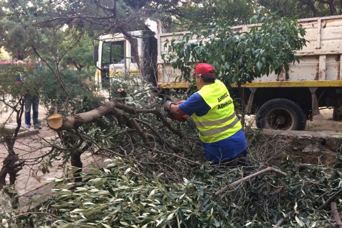 Εργαζόμενοι ΟΤΑ: Ο Δούκας έδωσε 30 εκατ. ευρώ και ιδιωτικοποίησε την υπηρεσία Πρασίνου