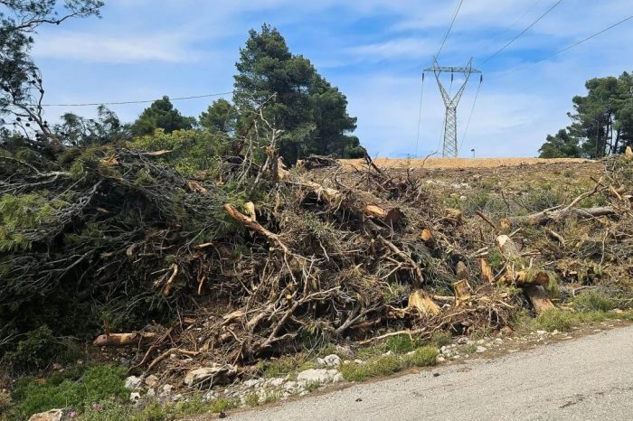 Τελευταία ευκαιρία σήμερα για τα «ακαθάριστα οικόπεδα» - 20 ερωτήσεις και απαντήσεις