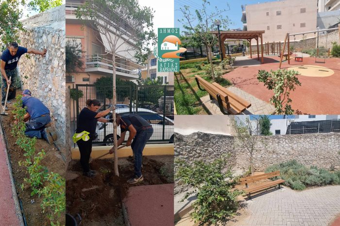 Δέντρα και χαμηλή βλάστηση φυτεύτηκαν στην Παιδική Χαρά Κανάρη και Καραολή