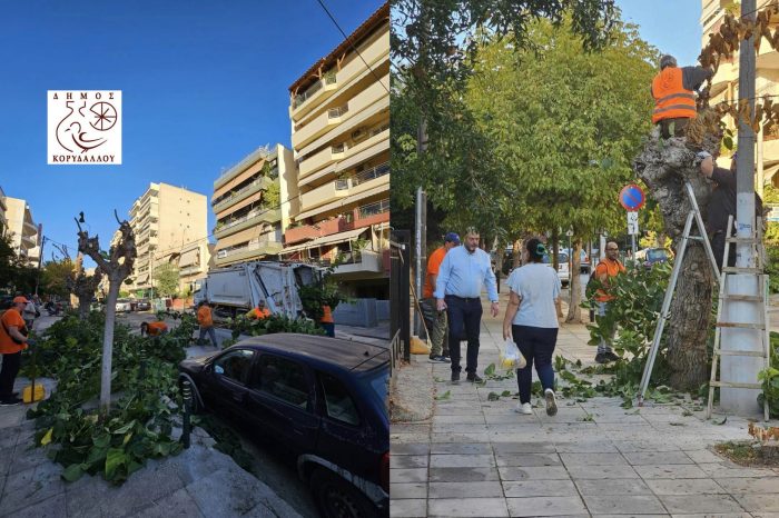 Νίκος Χουρσαλάς: Ξεκίνησε το κλάδεμα και ο καλλωπισμός των δέντρων σε όλες τις γειτονιές