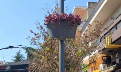 κρεμαστές ανθοστήλες