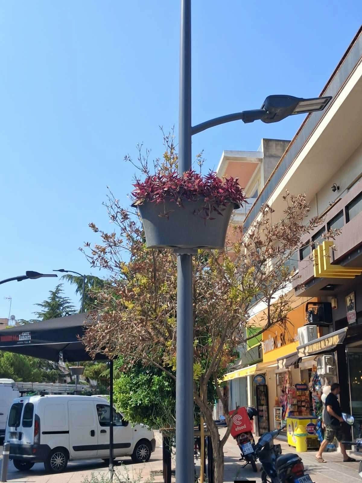 κρεμαστές ανθοστήλες